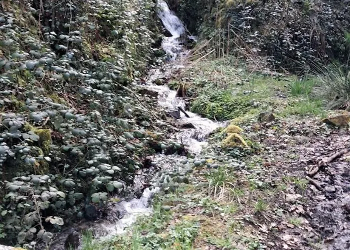 De La Source Prades (Haute-Loire)